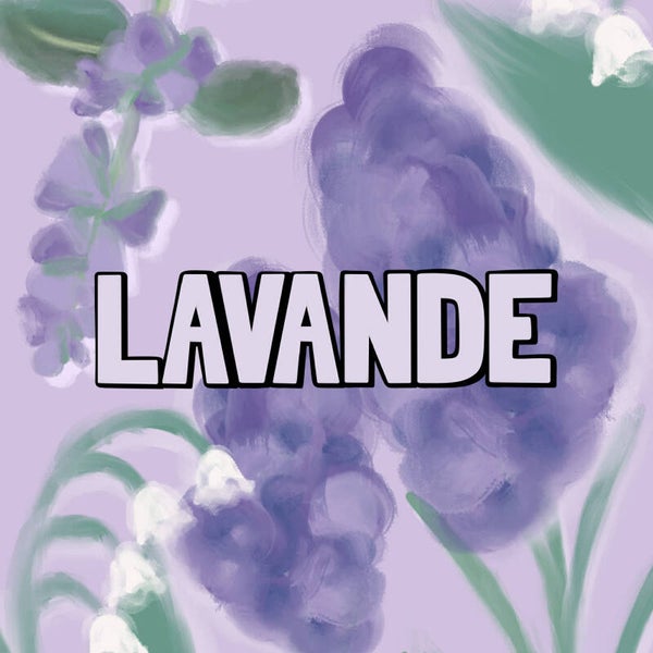 Fondants Lavande 80g