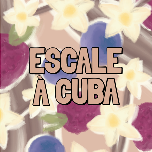 Fondants Escale à Cuba 80 Gr