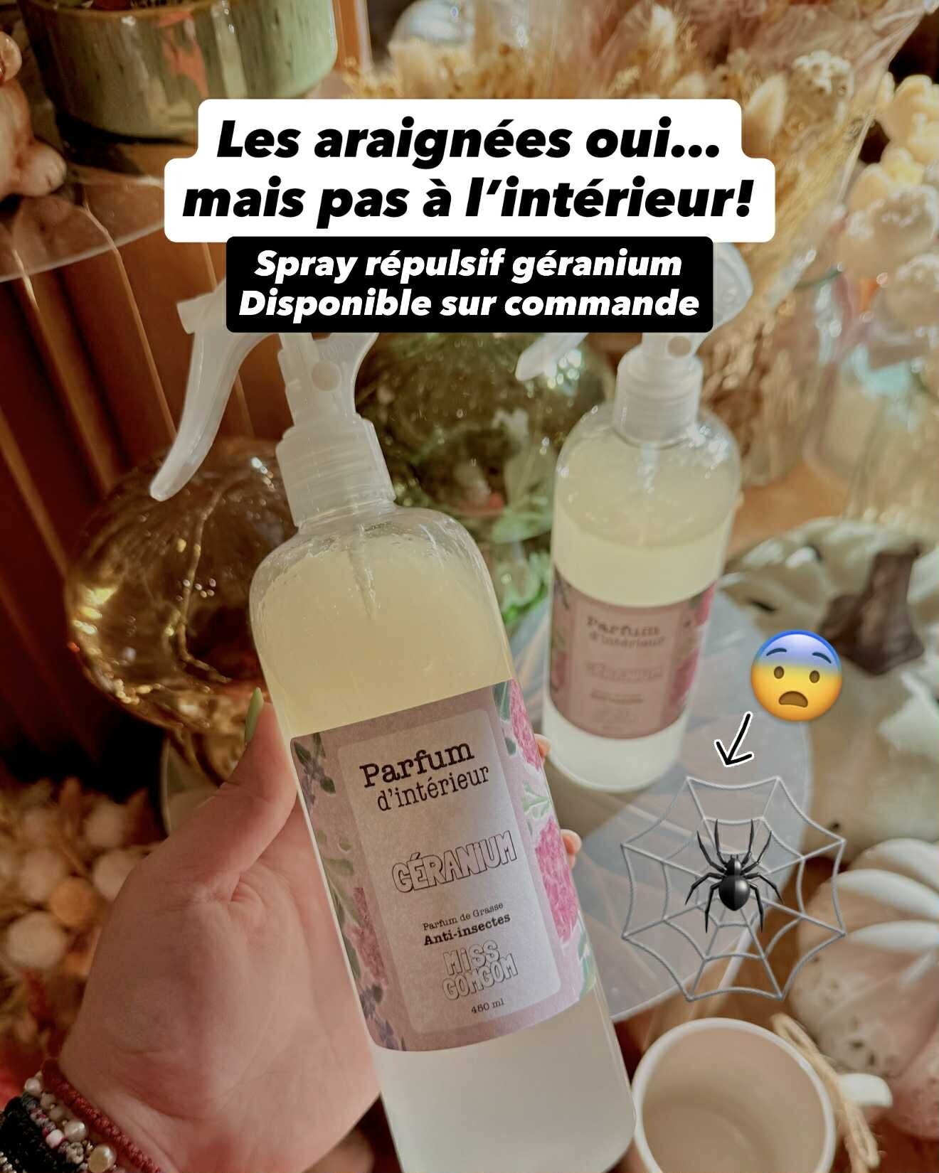 Parfum d'intérieur géranium ( Répulsif araignées )
