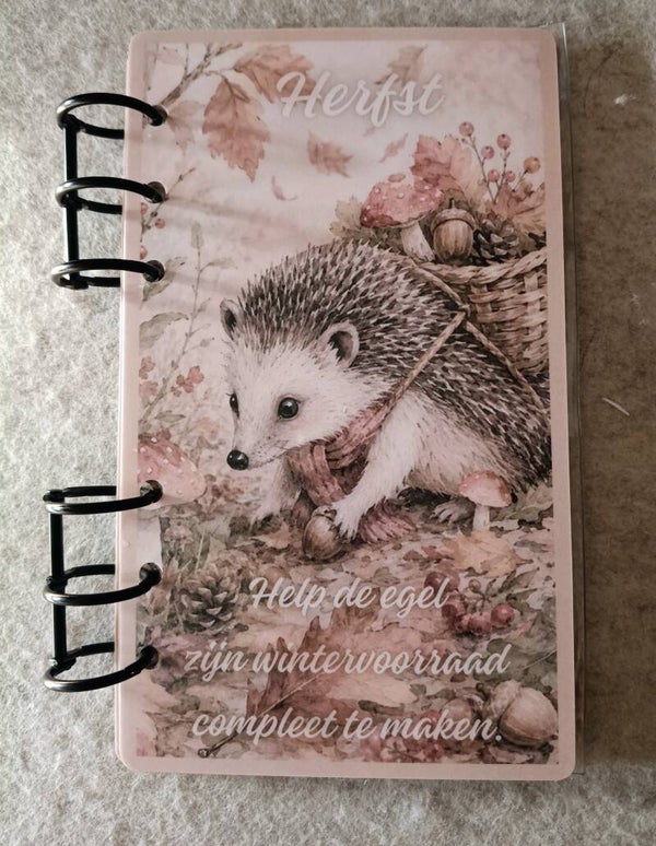 Herfstboek, help de egel zijn wintervoorraad compleet te maken