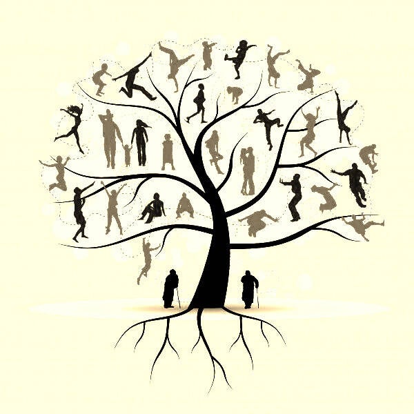 Séance de Coaching Personnel (1 heure)
