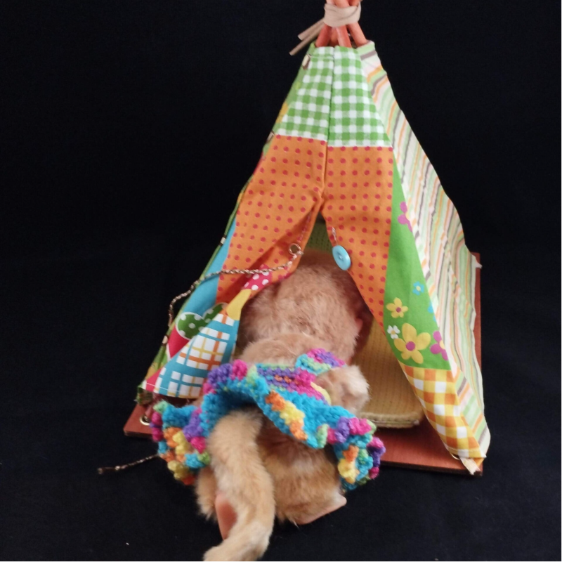 tente kiki babe zaza