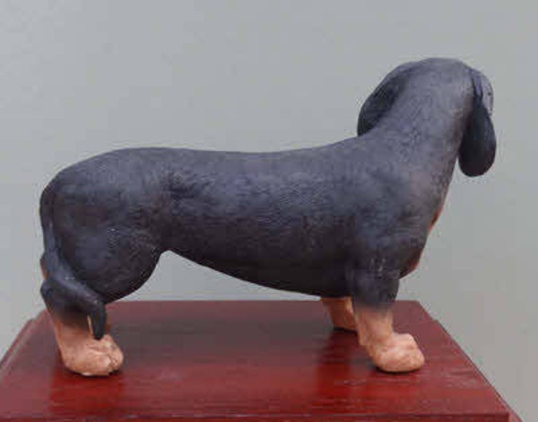 As urn klein-middelgrote hond