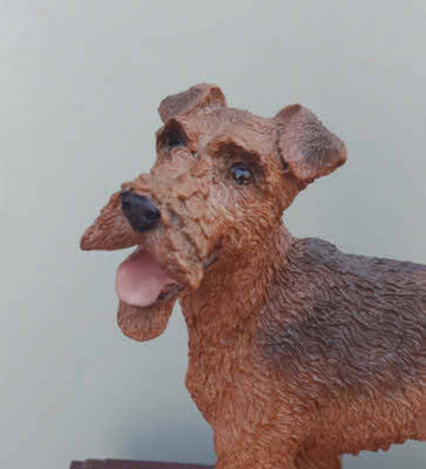 Airedale Terrier staand op Hardhouten Urn