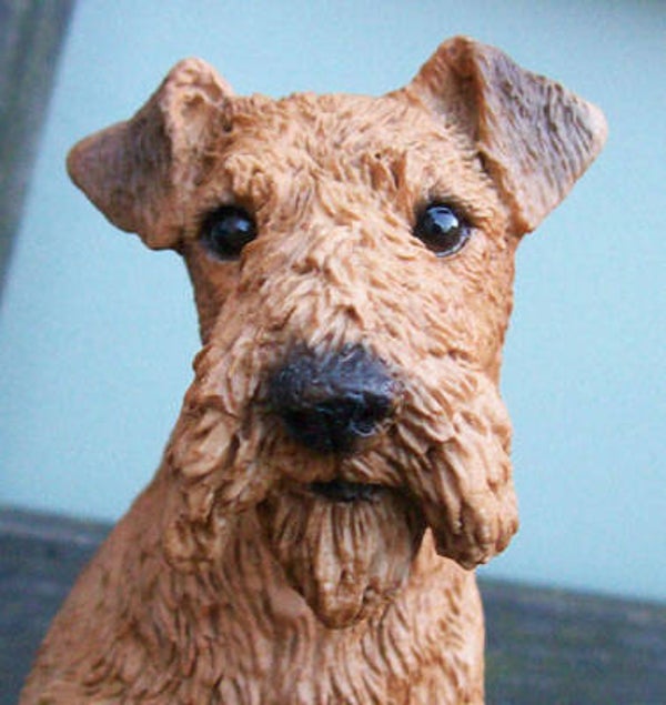 Airedale Terrier Lage Kubus Urn