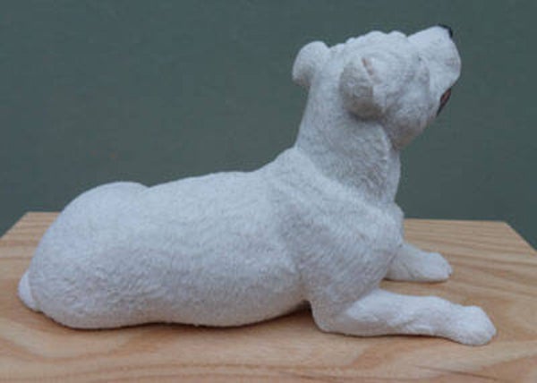 Amstaff