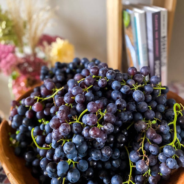 Blauwe druiven