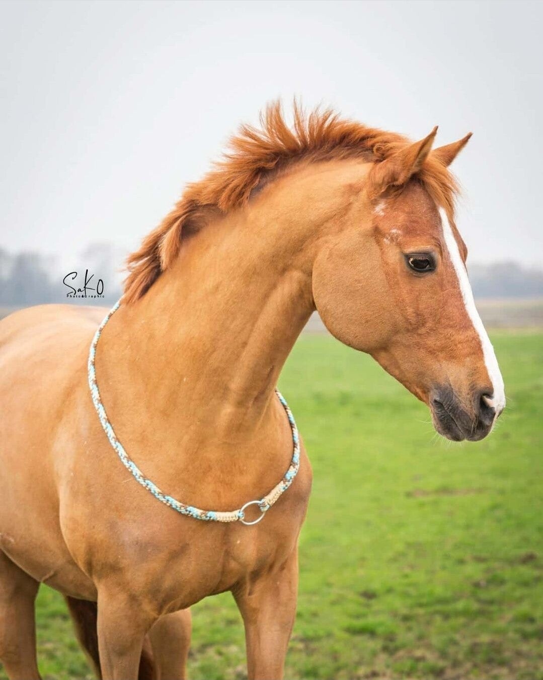 Neckrope met ring