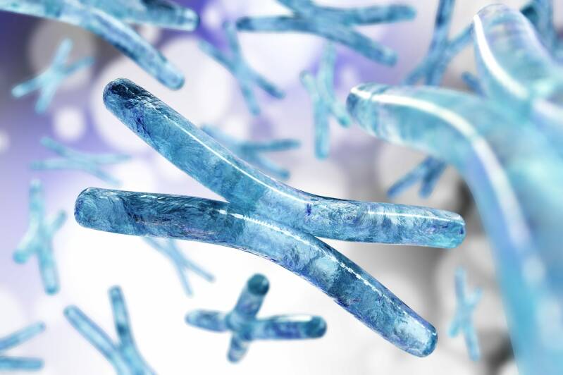 Adelina Zwaan Anna Conradi Eine Liebe in Midgard Buch Roman lesen Neuerscheinung ebook AZ Books Ebook Romantik Romance Romanze Fantasy neu Bürcher Romane