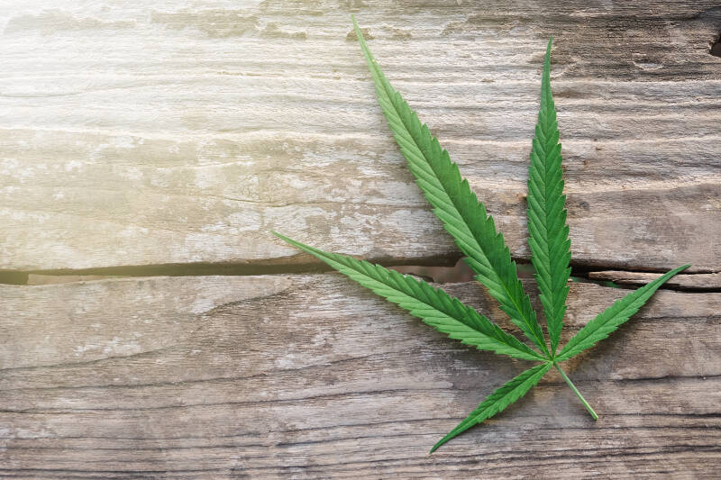 Adelina Zwaan Anna Conradi AZ Books ebook Neuerscheinung Buch Roman lesen Auszeit Muffins Wie entsteht eigentlich ein Cover? Nun, zuerst definiere ich das Genre, wähle die dazu benötigten Grundfarben aus und suche meist monatelang nach dem einen unverwech