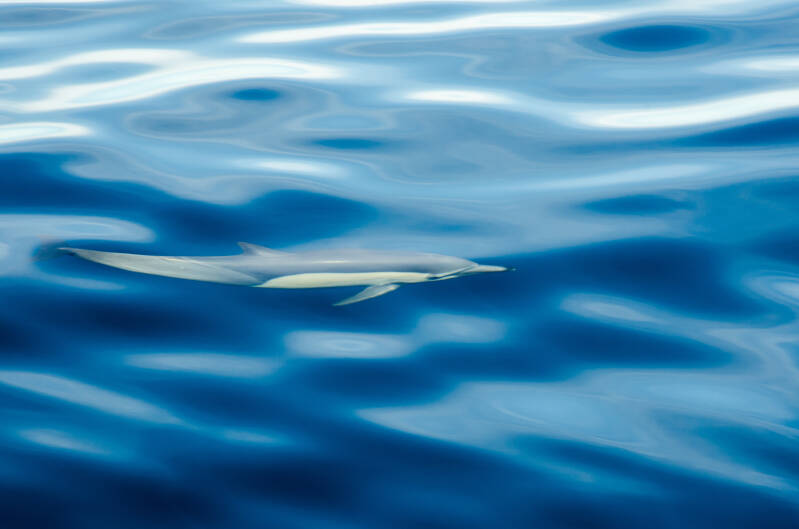 Adelina Zwaan Anna Conradi AZ Books ebook Neuerscheinung Buch Roman lesen Only you