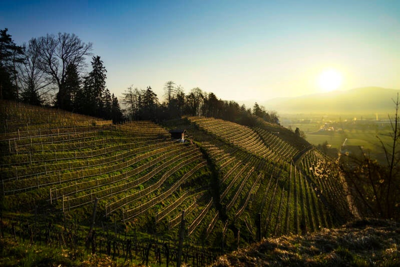 Adelina Zwaan Anna Conradi AZ Books ebook Neuerscheinung Buch Roman lesen Only you