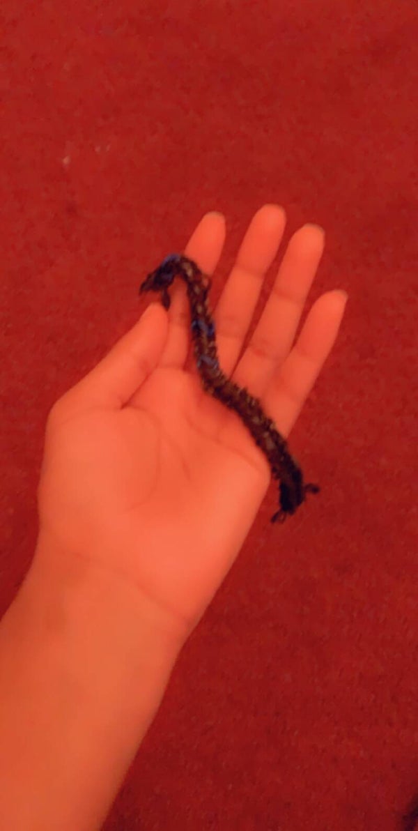 Is ok 🖤💙