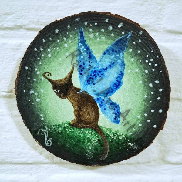 beschilderde schijf - fairycat