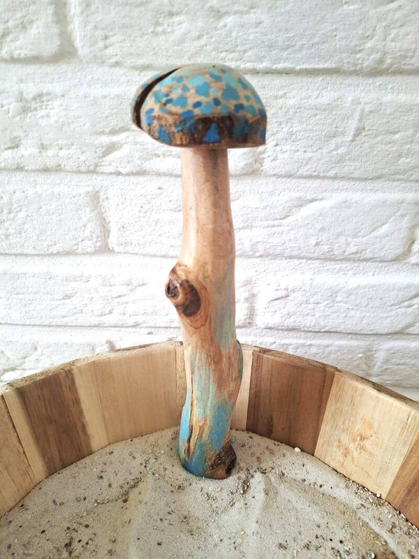 paddenstoel blauw