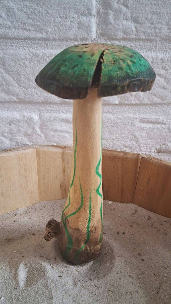 paddenstoel groen