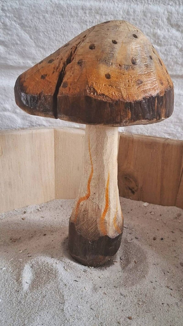 paddenstoel oranje