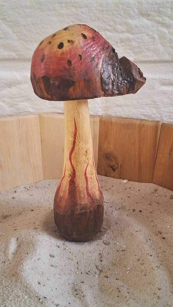 paddenstoel rood