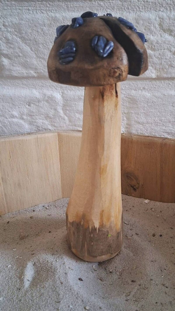 paddenstoel sodaliet