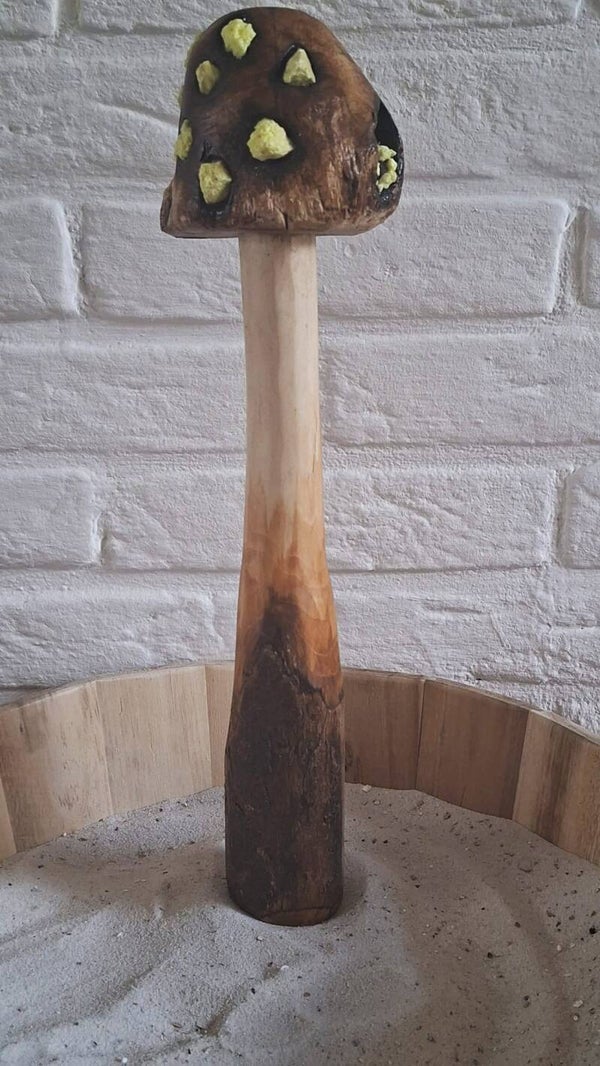 paddenstoel zwavel