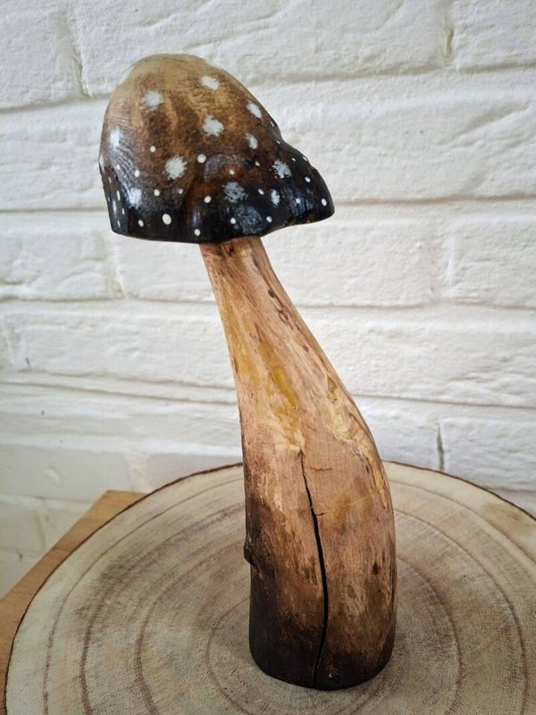 paddenstoel bruin