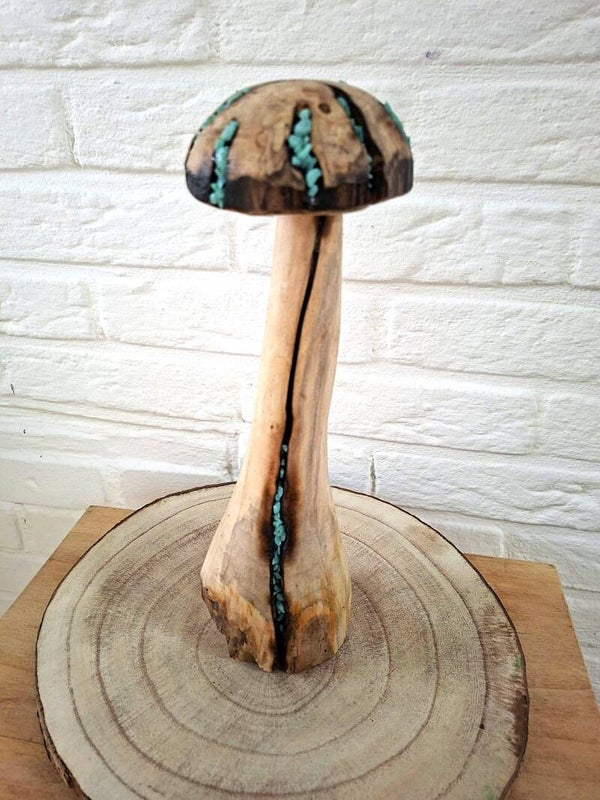 paddenstoel aqua