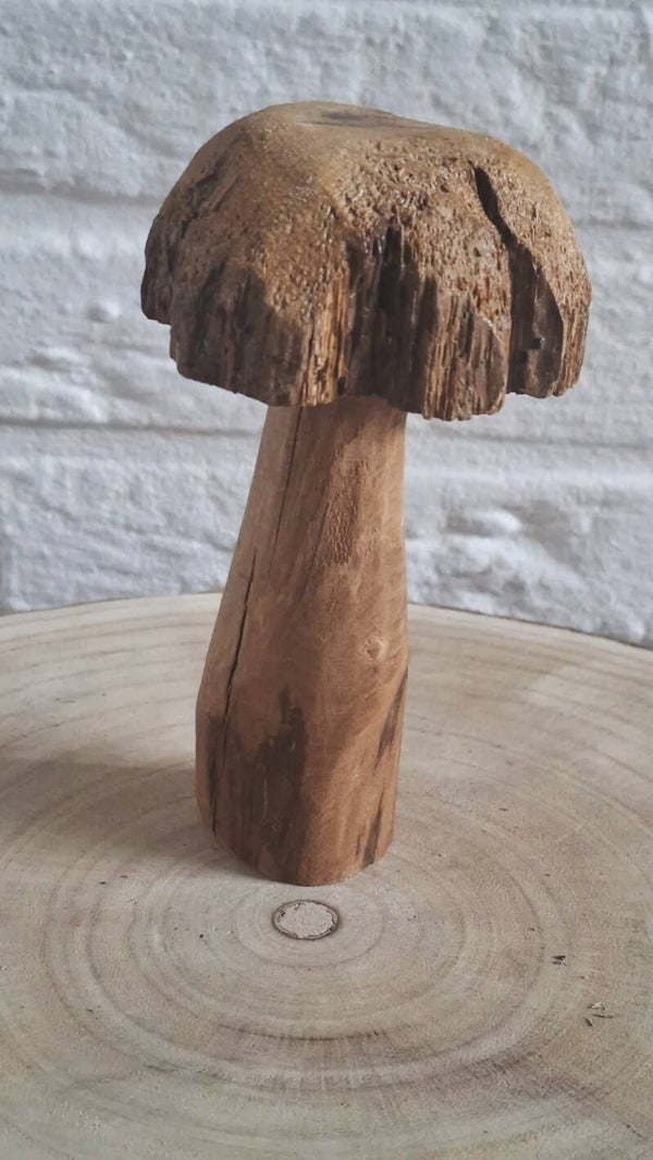 paddenstoel hout