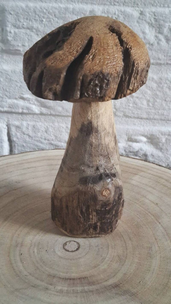 paddenstoel hout
