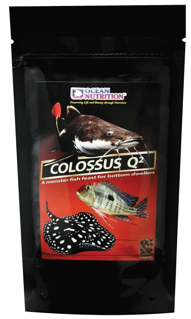 Colossus Q²