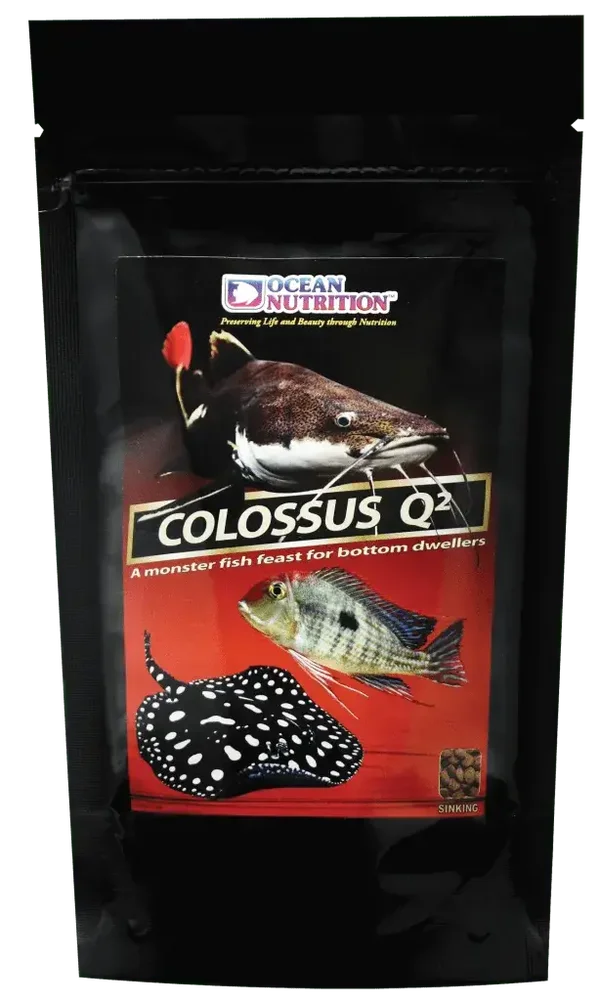 Colossus Q²