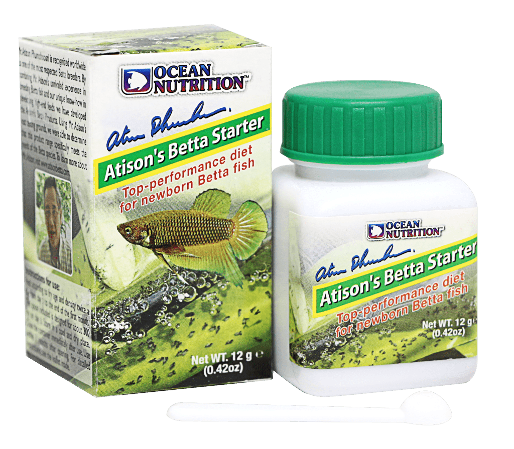 Atison Betta Starter