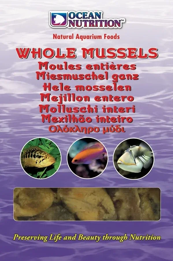 Whole mussels