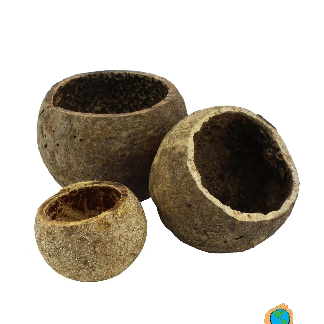 Appelhouten schuilplaats