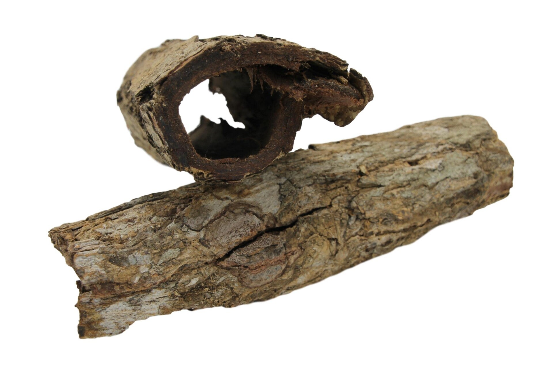 Catappa bark tubes