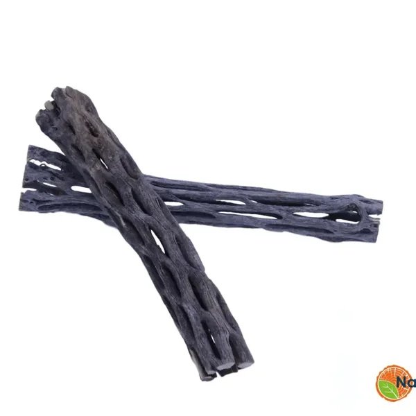 Cholla wood 10cm