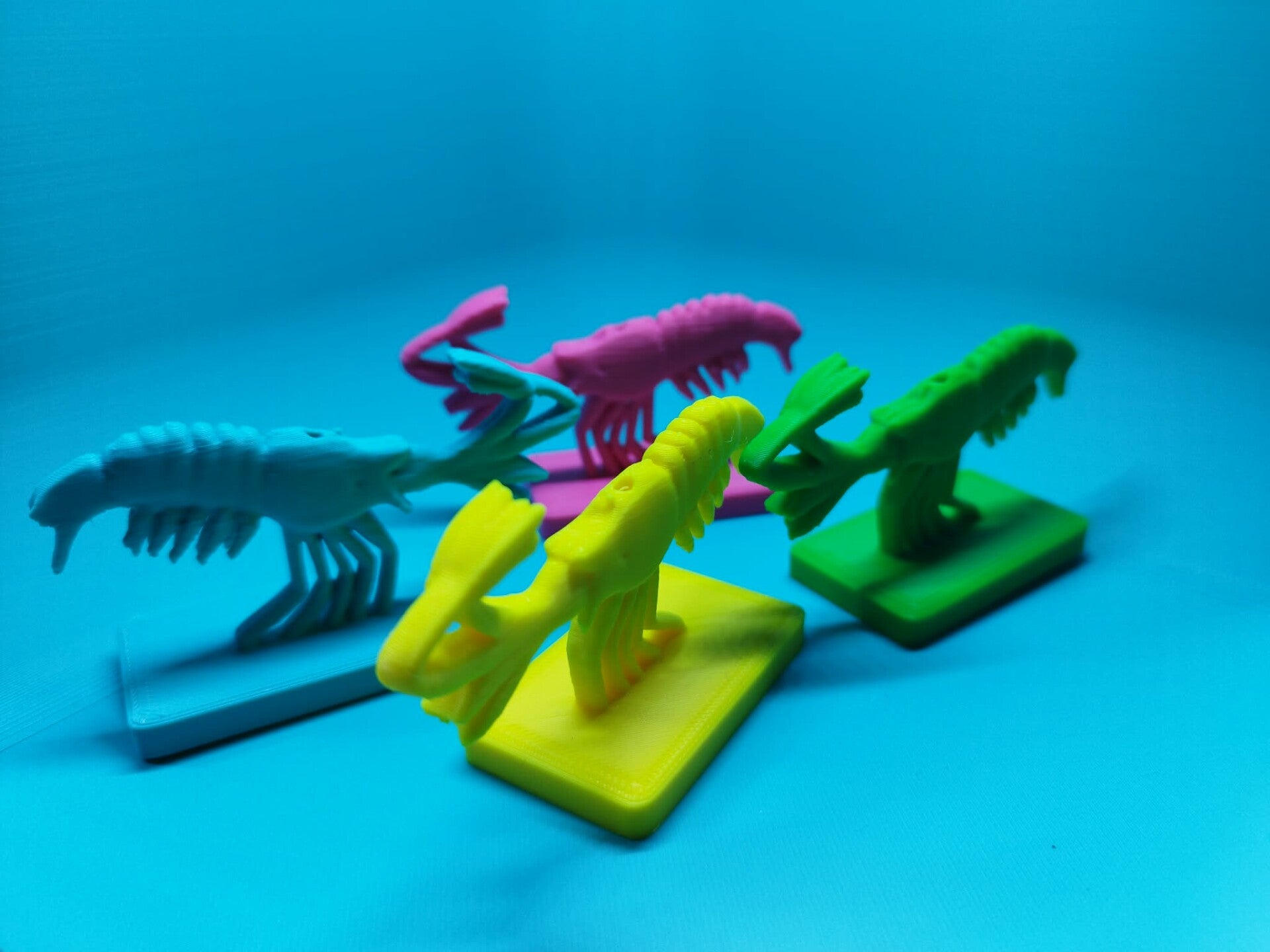 Garnalen Lolly Houders – Garnaalvorm