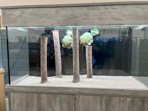 Standing Log
