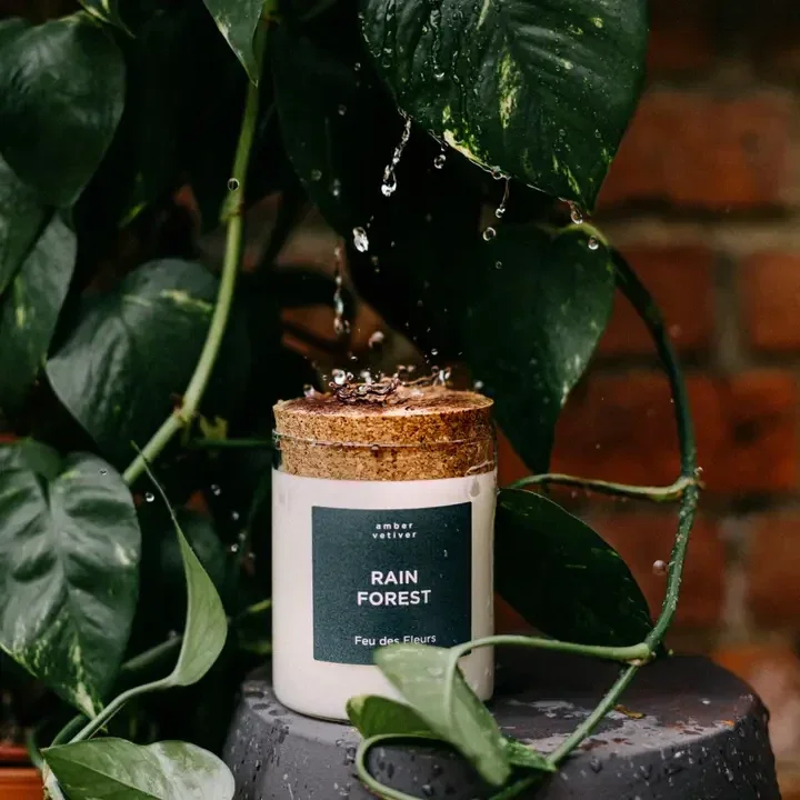 kaars Rain Forest 320gr