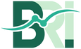 business research and insights