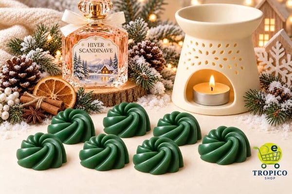 Fondant parfumé HIVER SCANDINAVE