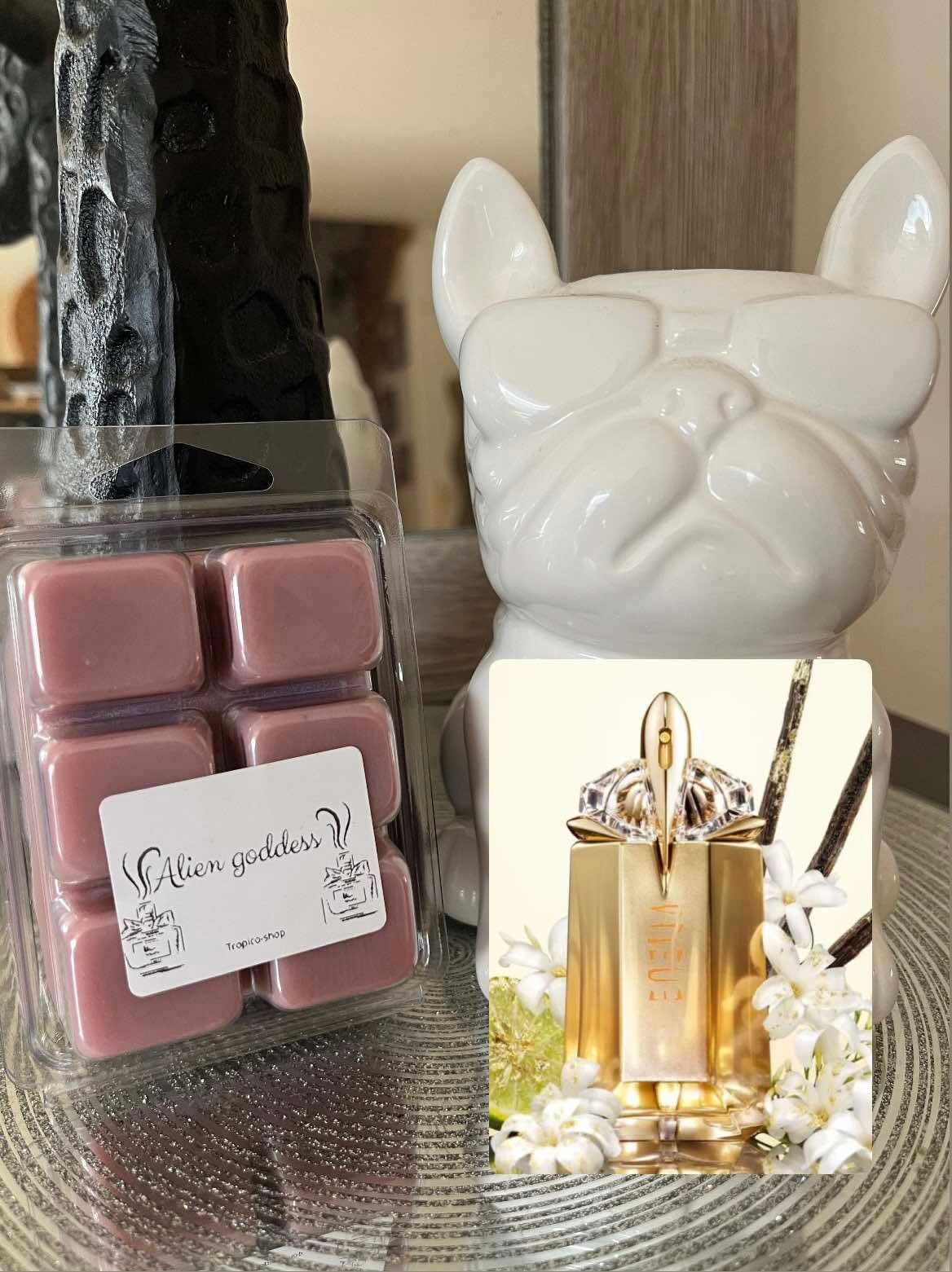 Fondant parfumé inspiré ALIEN GODDNESS