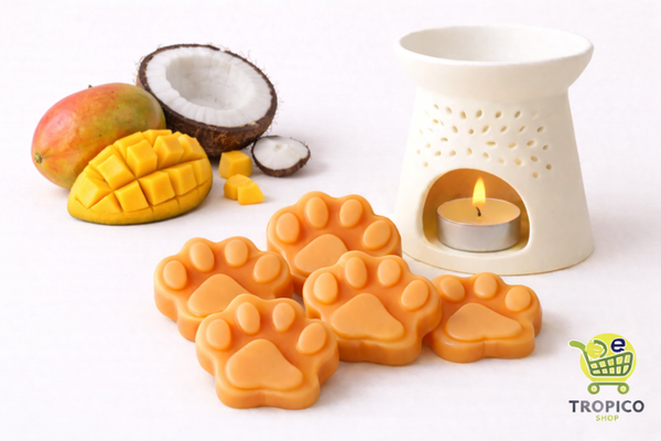 Fondant parfumé MANGUE - COCO