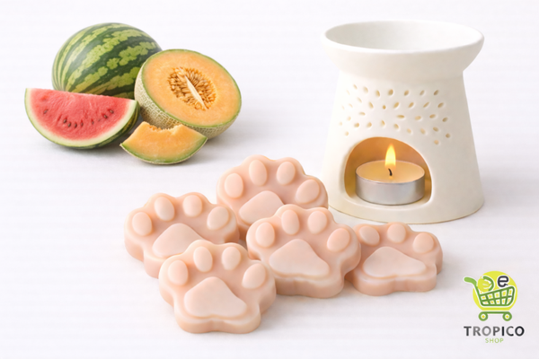 Fondant parfumé PASTEQUE-MELON