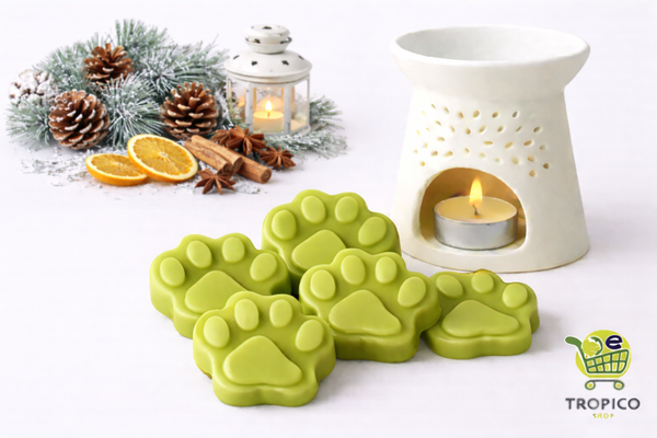 Fondant parfumé HIVER SCANDINAVE