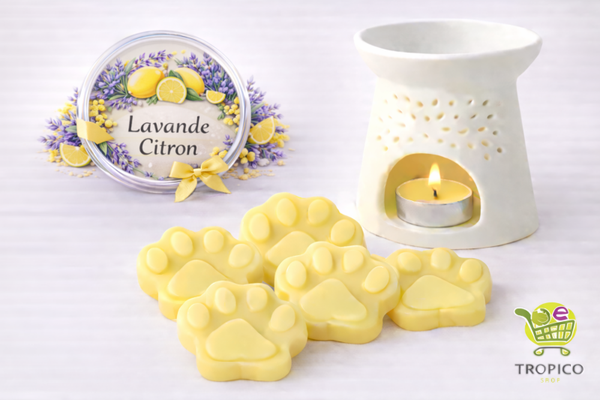 Fondant parfumé LAVANDE CITRON