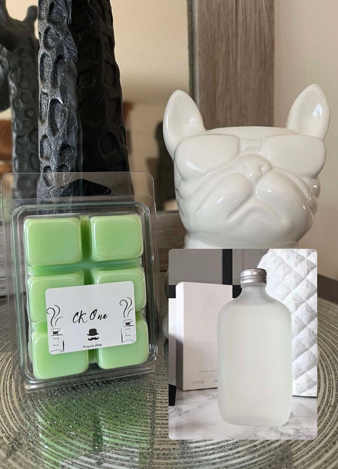 Fondant parfumé inspiré CK ONE