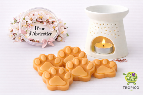 Fondant parfumé FLEUR D'ABRICOTIER