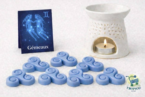 Fondant parfumé ASTRO GEMEAUX
