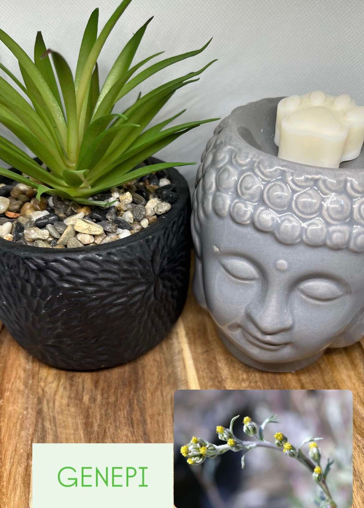 Fondant parfumé GENEPI