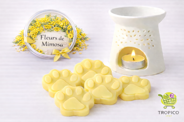 Fondant parfumé MIMOSA